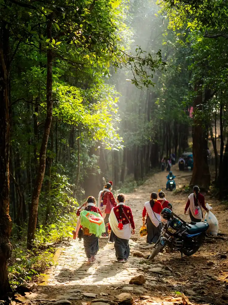 Participants walk through the forest during the Udhauli Parva festival in Nepal.